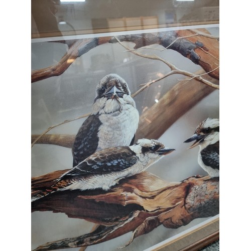 128 - Large framed and glazed print of 3x kookaburras titled 'Some mothers do have em' by Australian artis... 