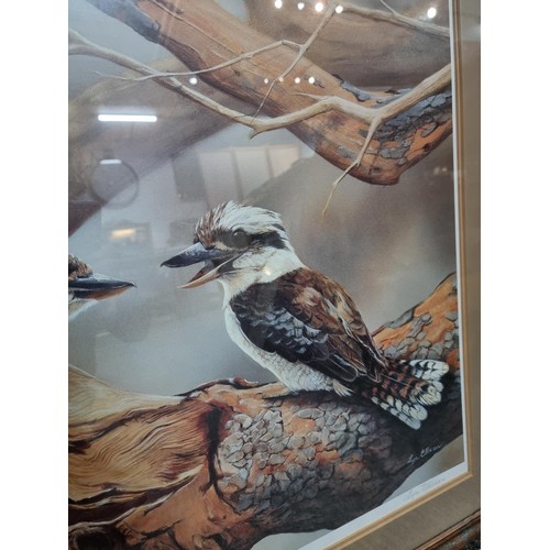 128 - Large framed and glazed print of 3x kookaburras titled 'Some mothers do have em' by Australian artis... 