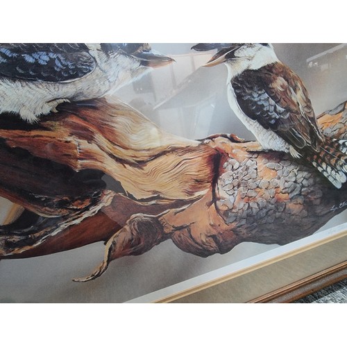 128 - Large framed and glazed print of 3x kookaburras titled 'Some mothers do have em' by Australian artis... 