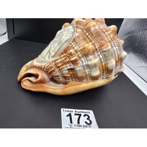 173 - A stunning very large conch shell with a beautifully carved cameo to the front depicting a lady look... 