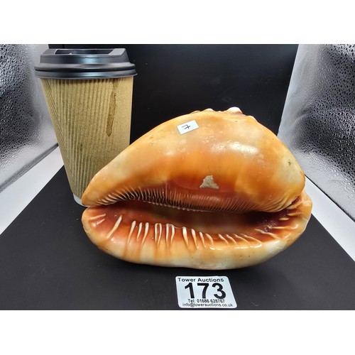 173 - A stunning very large conch shell with a beautifully carved cameo to the front depicting a lady look... 