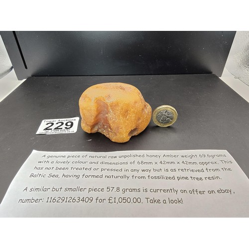 229 - A huge genuine piece of natural raw unpolished honey amber with a weight of 69.6g, this specimen is ... 