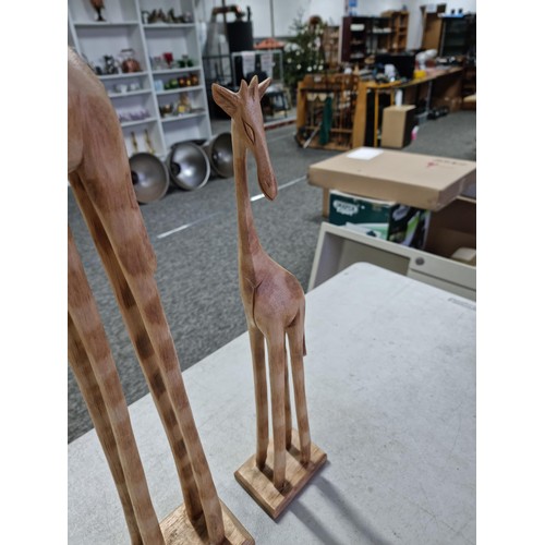 377 - 2x wooden fair trade graduated Giraffes both in good order standing on wooden plinths, largest has a... 