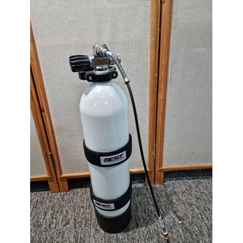 311A - Canister of CO2 gas marked Air Compressed UN 1002, complete with carrying strap and connector for ga... 