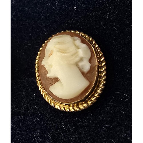 255 - A pair of pretty hallmarked 9ct yellow gold cameo stud earrings featuring a carved cameo shell with ... 