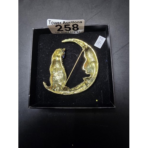 258 - An attractive large ornate costume brooch in the form of a cat and crescent moon which is heavily je... 