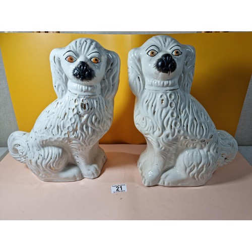 Lot 21        