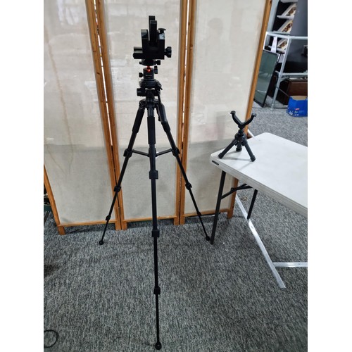 Lot 26        