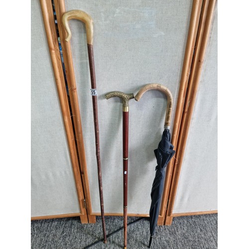 Lot 55        