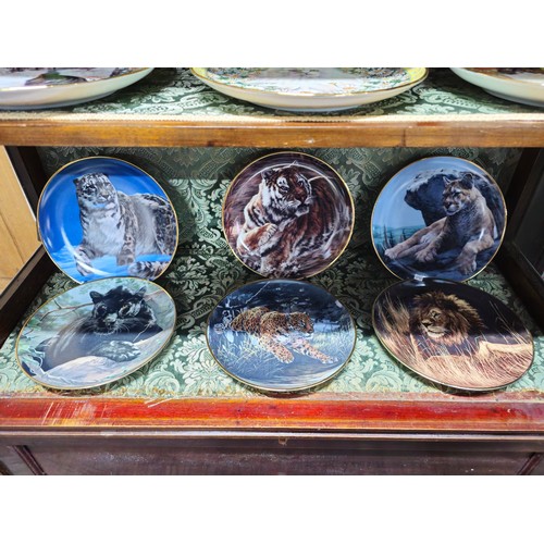 89 - A collection of 18x picture plates to include a collection of 12x Danbury Mint plates all in good or... 