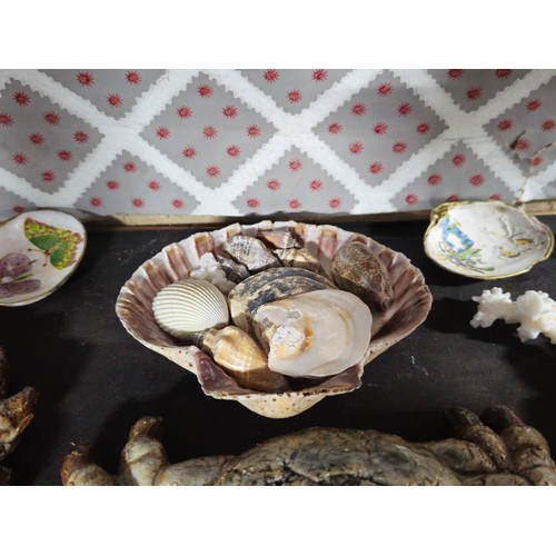 90 - A quantity of collectables to include 3x pottery wall hanging crabs a collection of collectable shel... 
