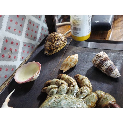 90 - A quantity of collectables to include 3x pottery wall hanging crabs a collection of collectable shel... 