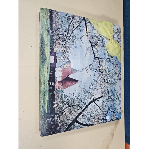 153 - A boxed vintage set of ladies gloves and glove stretchers in ebony along with handkerchiefs, a lace ... 