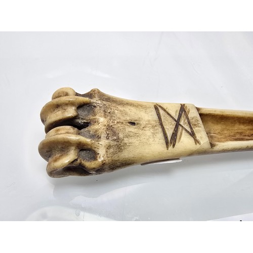 281 - A rare and interesting antique carved antler rope working tool fid or Marlinespike. The handle model... 