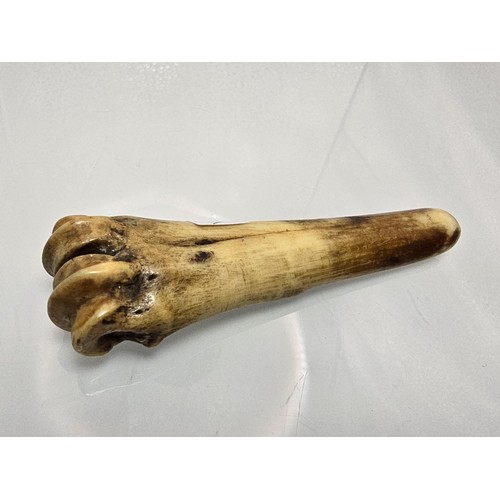 281 - A rare and interesting antique carved antler rope working tool fid or Marlinespike. The handle model... 