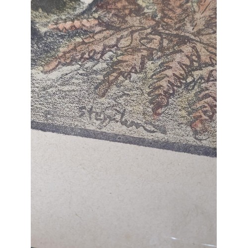 532 - Mixed Collection of Antique Prints & Illustrations - 16th to 19th Century (6 pieces)
A varied and in... 