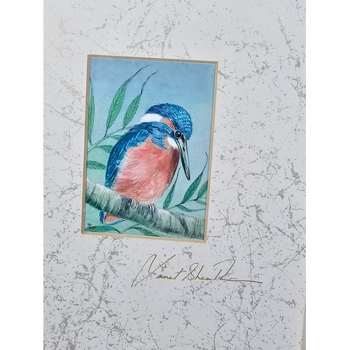 47 - A collection of 7x framed and glazed original paintings of birds to include a 5x matching framed pic... 