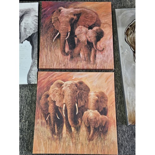 48 - A collection of 5x stretch canvas prints of elephants to include 2 matching pictures of mother and c... 