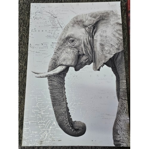 48 - A collection of 5x stretch canvas prints of elephants to include 2 matching pictures of mother and c... 