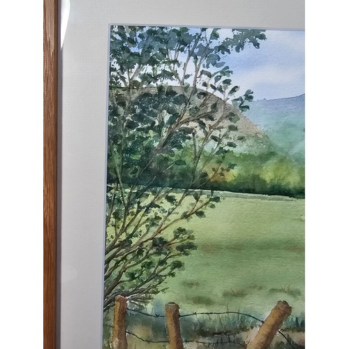 53 - A good quality framed and glazed water colour of Llandinam, signed to the lower left M Evans, the pi... 