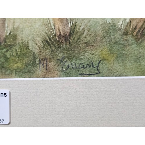 53 - A good quality framed and glazed water colour of Llandinam, signed to the lower left M Evans, the pi... 
