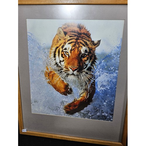 60 - A collection of 8x framed and glazed pictures to include 3x needlepoint pictures of a Lion, Tiger an... 