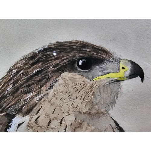 80 - A collection of 3 pictures to include a hand painted water colour of a Kestrel, a needlepoint pictur... 