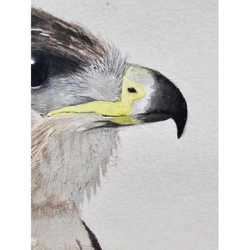 80 - A collection of 3 pictures to include a hand painted water colour of a Kestrel, a needlepoint pictur... 