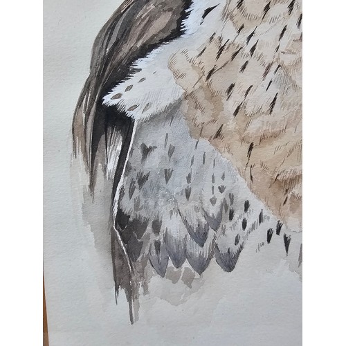 80 - A collection of 3 pictures to include a hand painted water colour of a Kestrel, a needlepoint pictur... 