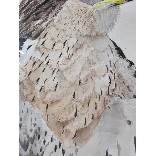 80 - A collection of 3 pictures to include a hand painted water colour of a Kestrel, a needlepoint pictur... 