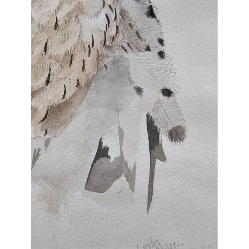 80 - A collection of 3 pictures to include a hand painted water colour of a Kestrel, a needlepoint pictur... 