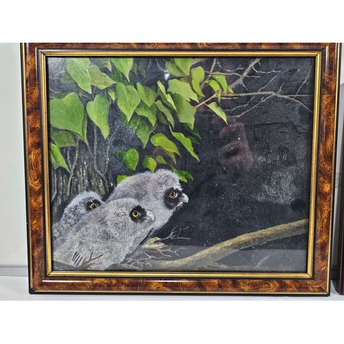 82 - 2 framed and glazed pastel drawings, one of a pair of owl chicks, the other of a pair of shrews. Bot... 