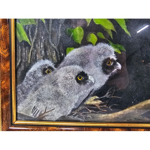 82 - 2 framed and glazed pastel drawings, one of a pair of owl chicks, the other of a pair of shrews. Bot... 