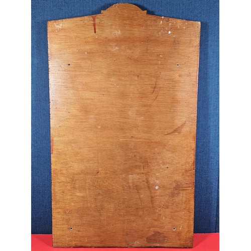 210 - An International Waterways Association (IWA) commemorative Plaque display, comprising of a hardwood ... 