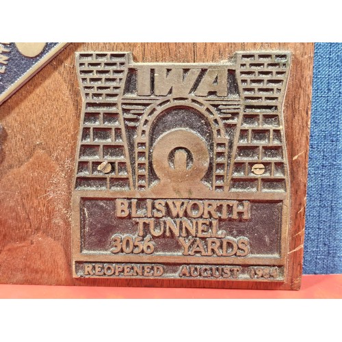 211 - An International Waterways Association (IWA) Commemorative plaque display, mounted on a hardwood boa... 