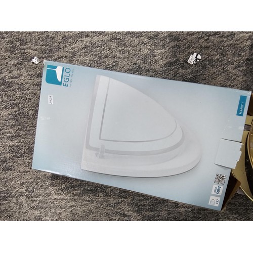 199 - Box of lighting items to include 2x wall lamps, 2x angle poises lamps, 4x boxed wall lamps, Fluoresc... 