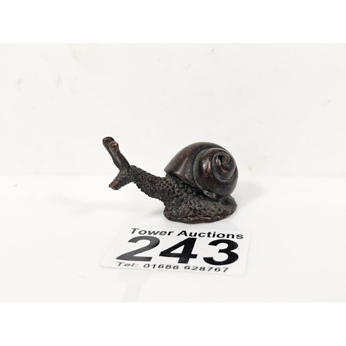 Lot 243       