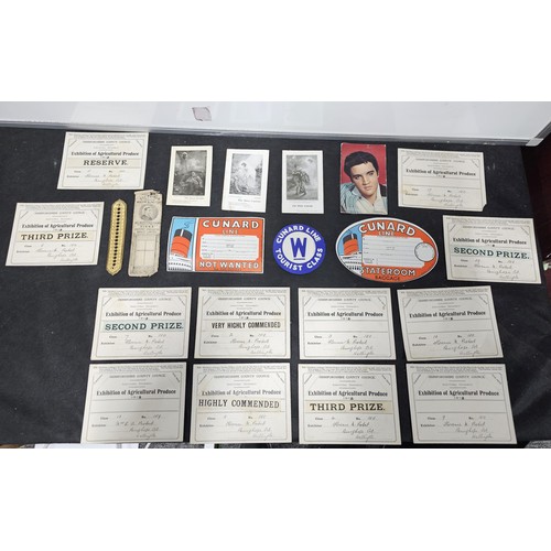 Lot 215C      