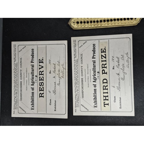 215C - A quantity of interesting antique ephemera to include 2x Cunard Line unused luggage labels a photogr... 