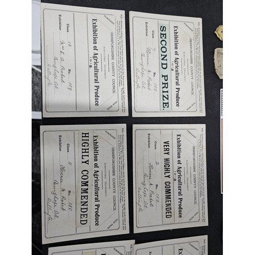 215C - A quantity of interesting antique ephemera to include 2x Cunard Line unused luggage labels a photogr... 