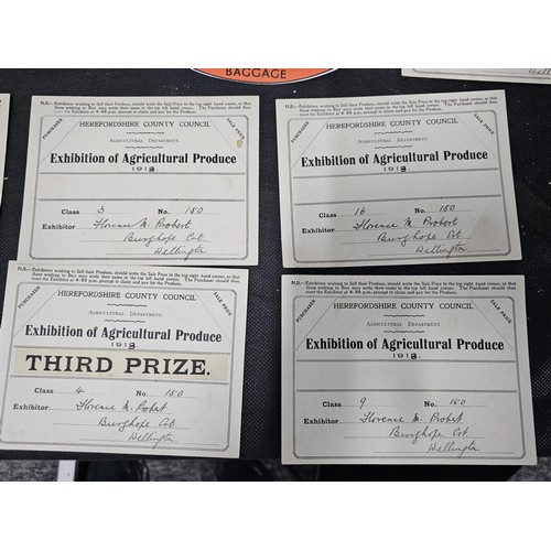 215C - A quantity of interesting antique ephemera to include 2x Cunard Line unused luggage labels a photogr... 