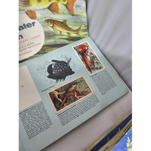 15 - A collection of tea card albums covering various subjects to include flowers, space, Animals, people... 