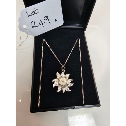 Lot 247       