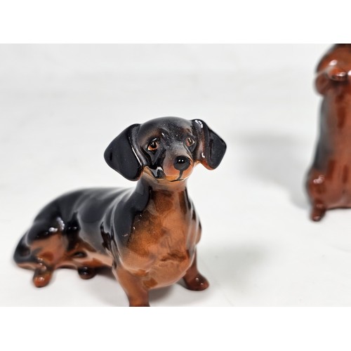 183 - A collection of 3 Beswick ceramic dachshund figurines, each modelled in characteristic poses with a ... 