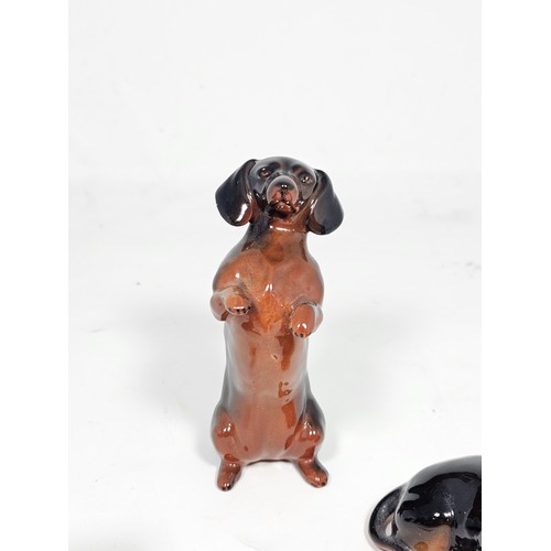 183 - A collection of 3 Beswick ceramic dachshund figurines, each modelled in characteristic poses with a ... 