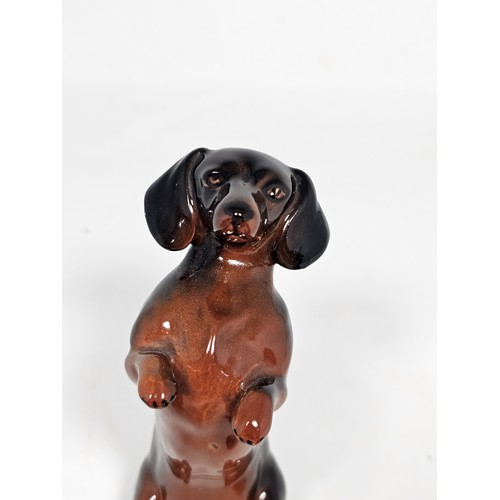 183 - A collection of 3 Beswick ceramic dachshund figurines, each modelled in characteristic poses with a ... 