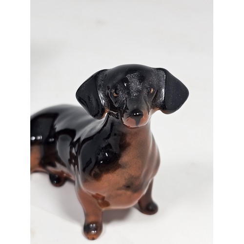 183 - A collection of 3 Beswick ceramic dachshund figurines, each modelled in characteristic poses with a ... 