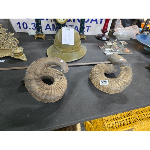 A matched pair of large loose ram's horns, likely Mouflon or simular ...