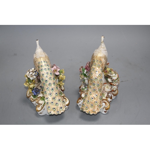 114 - A pair of Derby figures of peacocks, c.1840, red printed crown D mark, H. 15.5 and 16cm Condition: B... 