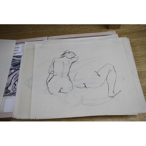 438 - Peter Collins, twelve pen and ink on paper, Studies of female nudes, largest 35 x 25cm, unframed Con... 